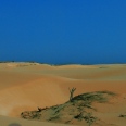 Die Faszinierende Boa Vista