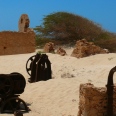 Die Faszinierende Boa Vista