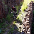 das Adrenalin (MTB) 