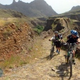 das Adrenalin (MTB) 