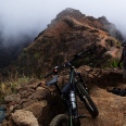 das Adrenalin (MTB) 